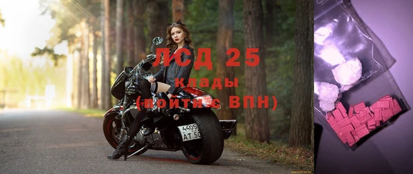 тгк Беломорск