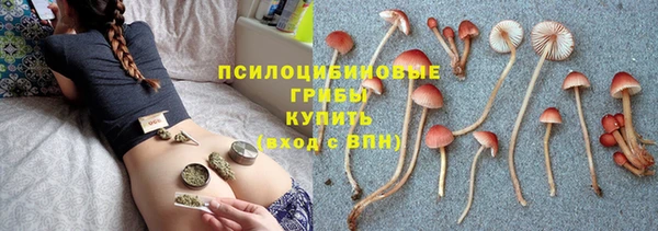 герыч Балахна