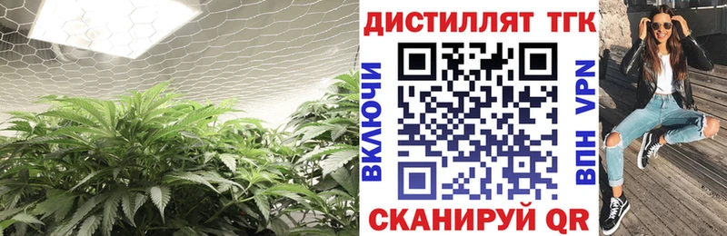 Дистиллят ТГК жижа  купить наркоту  кракен как войти  Магас 