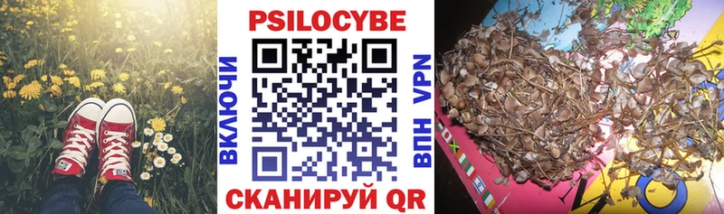 Псилоцибиновые грибы MAGIC MUSHROOMS  купить наркотик  Магас 